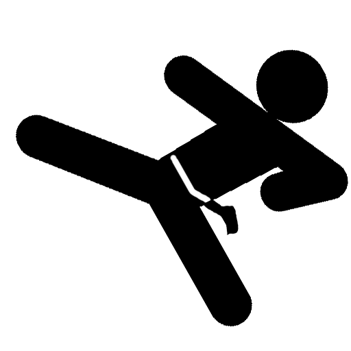 taekwondo icon